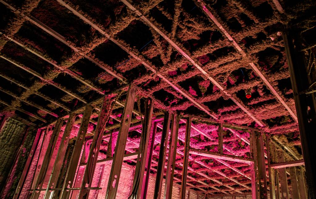 The alt text for the image is: A dimly lit room with exposed metal beams and supports on the walls and ceiling, featuring ...